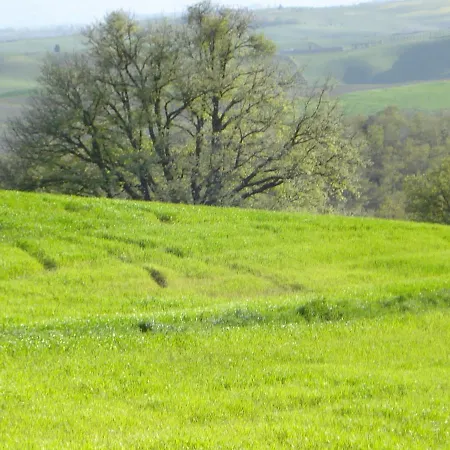 Appartamento Albarosa By World