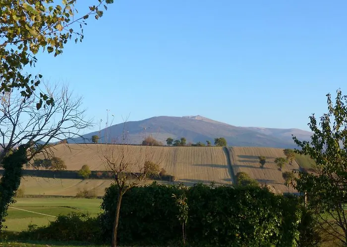 Albarosa By World Apartamento